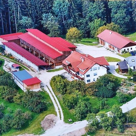 Ferienwohnungen Bauernhof Schilcher Sankt Stefan im Lavanttal Buitenkant foto