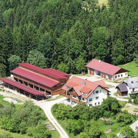 Ferienwohnungen Bauernhof Schilcher Sankt Stefan im Lavanttal Buitenkant foto