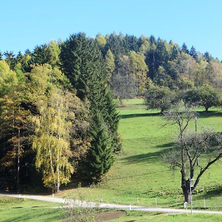 Ferienwohnungen Bauernhof Schilcher Sankt Stefan im Lavanttal Buitenkant foto