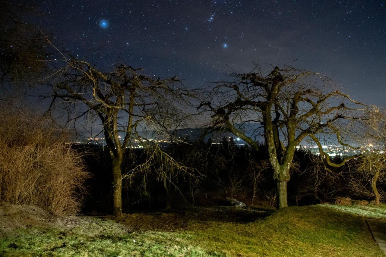Ferienwohnungen Bauernhof Schilcher Sankt Stefan im Lavanttal Buitenkant foto