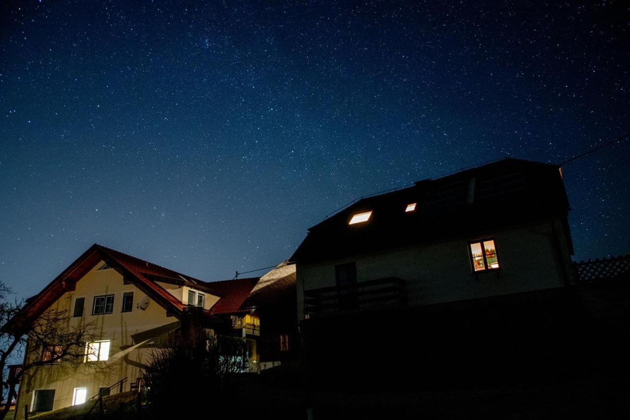 Ferienwohnungen Bauernhof Schilcher Sankt Stefan im Lavanttal Buitenkant foto