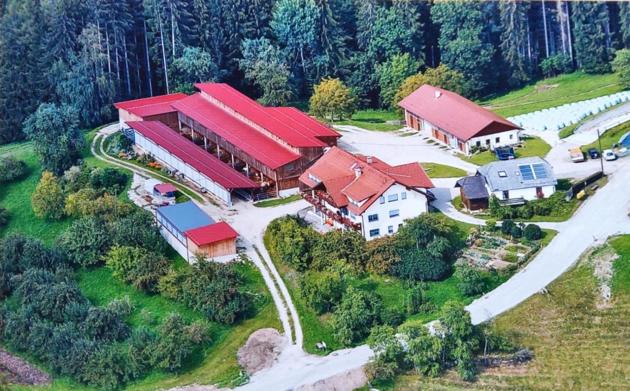 Ferienwohnungen Bauernhof Schilcher Sankt Stefan im Lavanttal Buitenkant foto