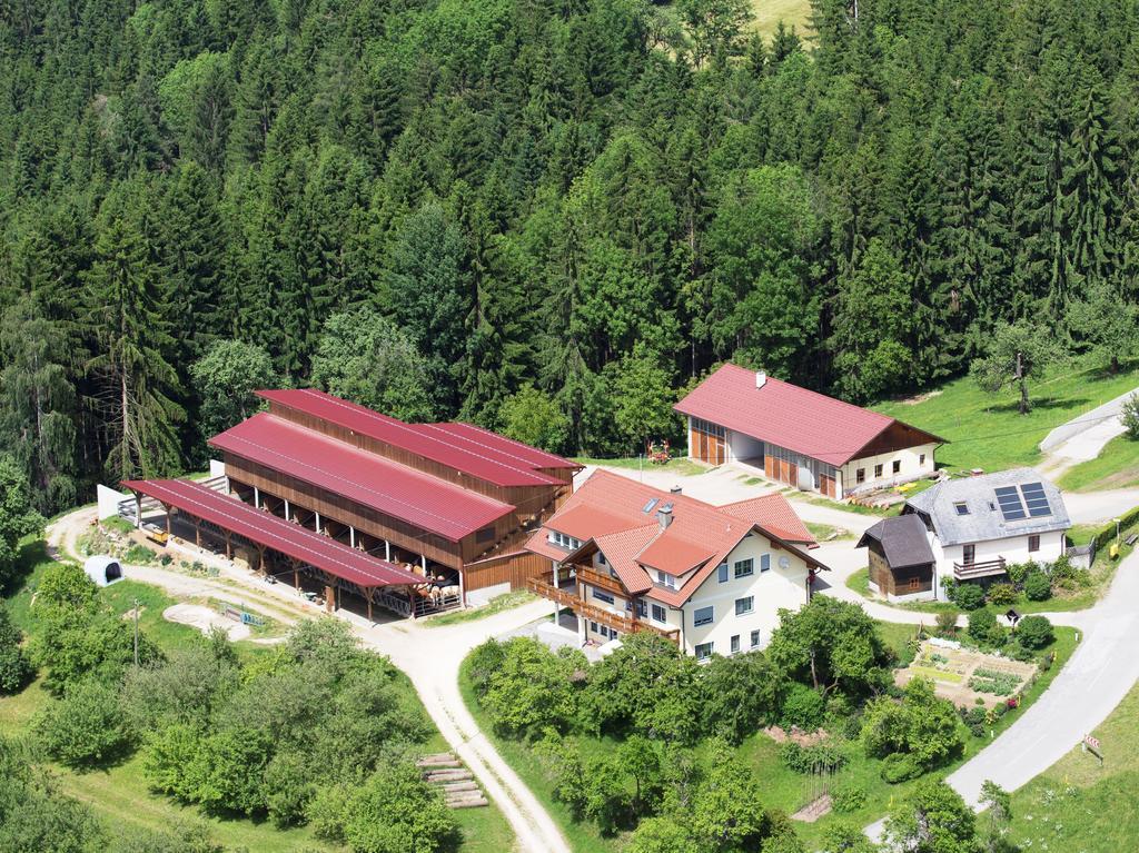 Ferienwohnungen Bauernhof Schilcher Sankt Stefan im Lavanttal Buitenkant foto