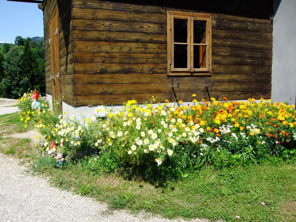 Ferienwohnungen Bauernhof Schilcher Sankt Stefan im Lavanttal Buitenkant foto