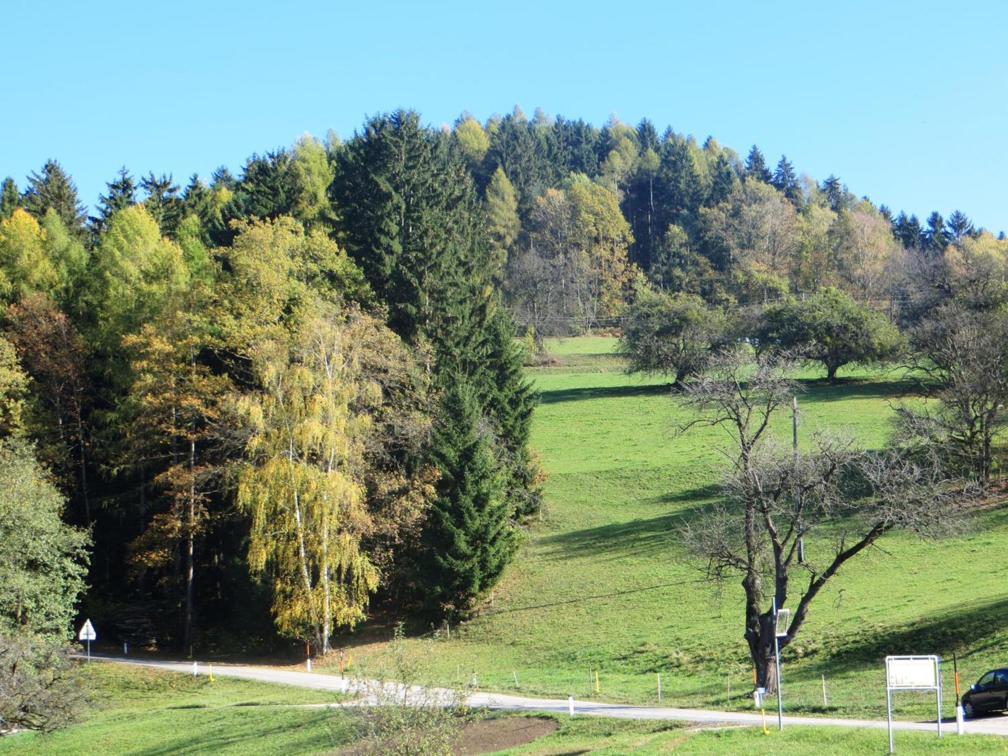 Ferienwohnungen Bauernhof Schilcher Sankt Stefan im Lavanttal Buitenkant foto