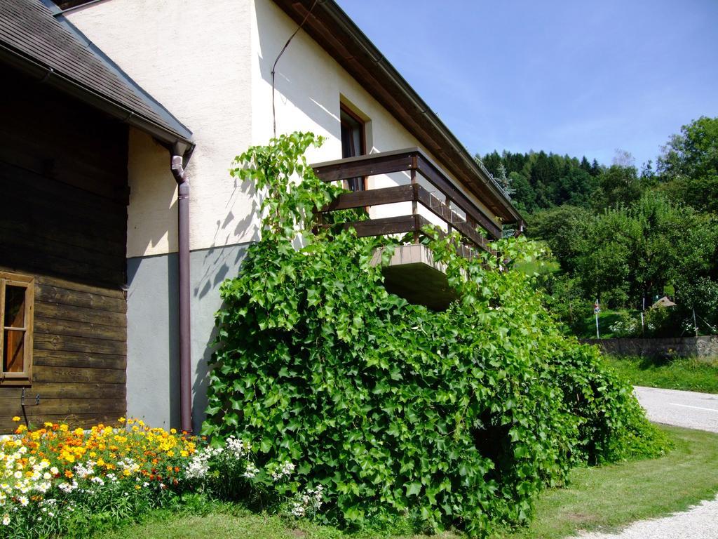 Ferienwohnungen Bauernhof Schilcher Sankt Stefan im Lavanttal Buitenkant foto