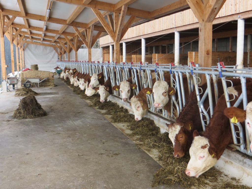 Ferienwohnungen Bauernhof Schilcher Sankt Stefan im Lavanttal Buitenkant foto