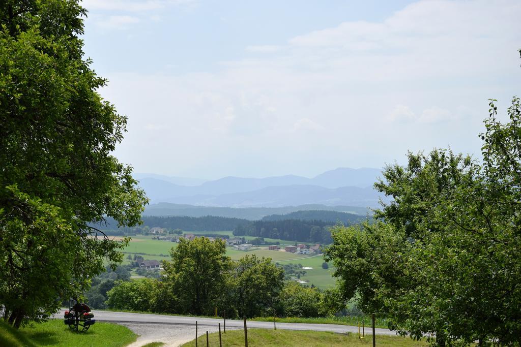 Ferienwohnungen Bauernhof Schilcher Sankt Stefan im Lavanttal Buitenkant foto
