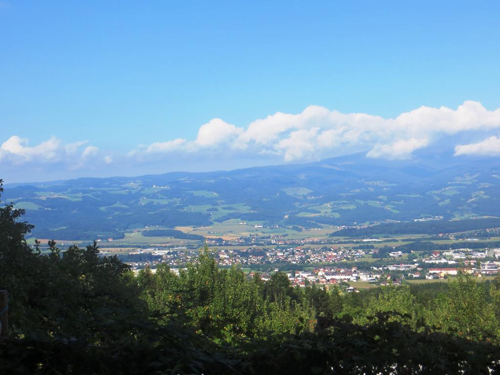 Ferienwohnungen Bauernhof Schilcher Sankt Stefan im Lavanttal Buitenkant foto