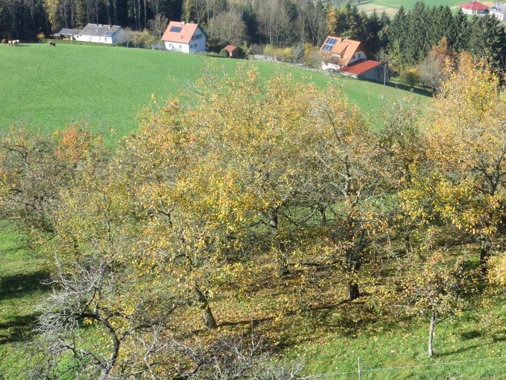 Ferienwohnungen Bauernhof Schilcher Sankt Stefan im Lavanttal Buitenkant foto