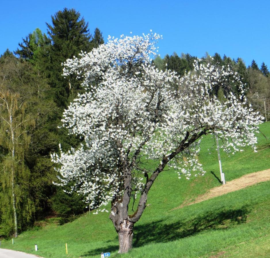 Ferienwohnungen Bauernhof Schilcher Sankt Stefan im Lavanttal Buitenkant foto