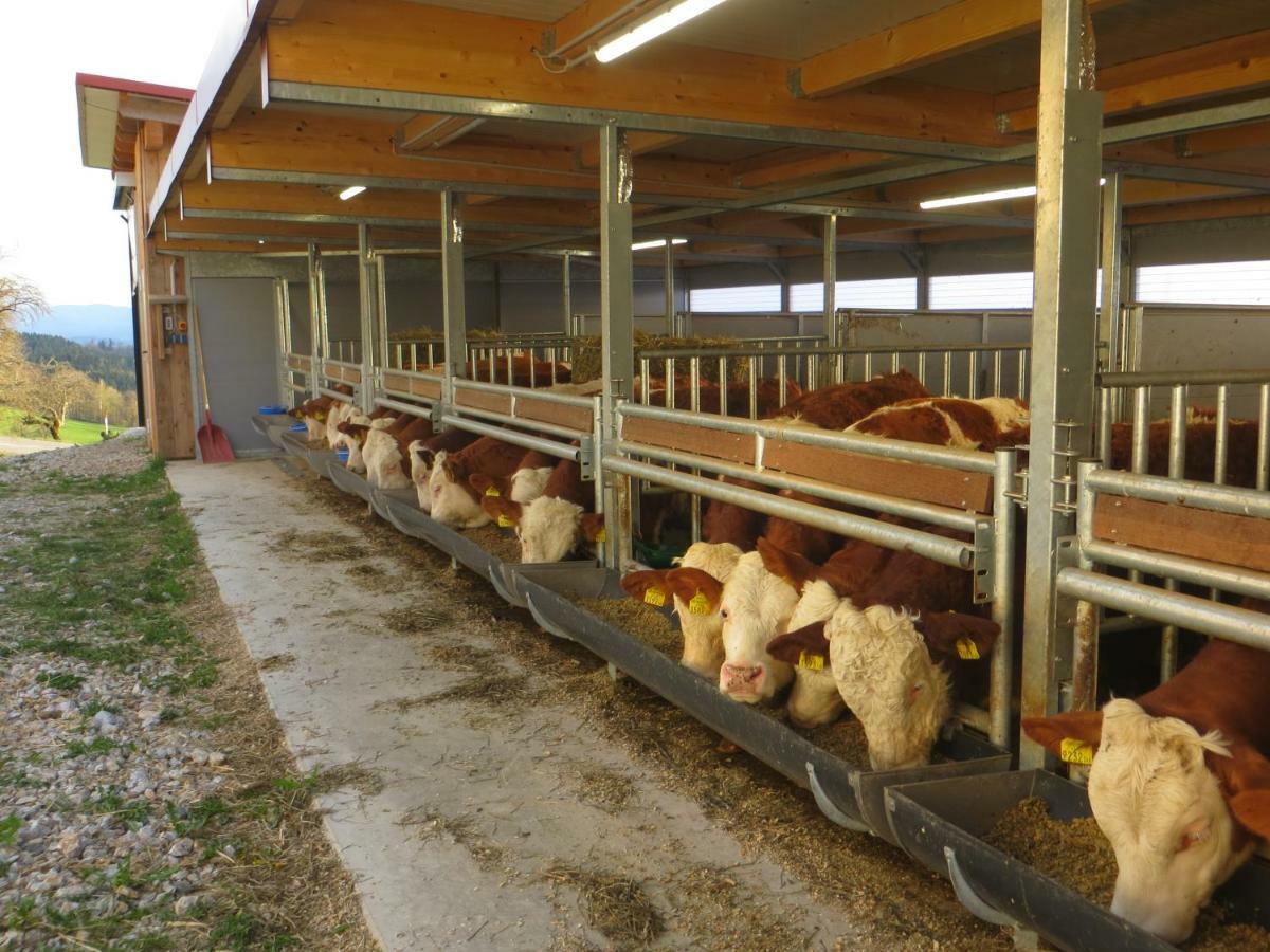 Ferienwohnungen Bauernhof Schilcher Sankt Stefan im Lavanttal Buitenkant foto
